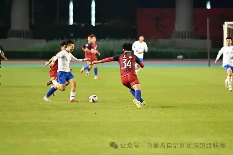 少妇高清精品毛片在线视频